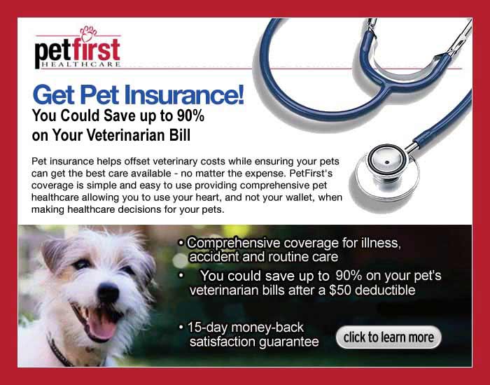 petfirst1.jpg